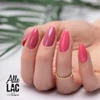 Slika 4/4 - AlleLac It Girl gel lac 164 - 5g