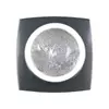 Kép 1/2 - Diamond Nails Spider gél Silver Glitter 5g ezüst csillámos 