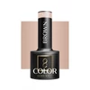 Kép 2/4 - Ocho Nails Gél Lakk Brown 801  5g