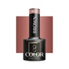 Kép 2/4 - Ocho Nails Gél Lakk Brown 804  5g