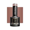 Kép 2/4 - Ocho Nails Gél Lakk Brown 805  5g