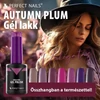 Kép 4/7 -  Perfect Nails HEMA Free gel Lakk Eggplant 8ml - Autumn Plum