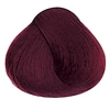 Kép 2/2 - Alfaparf Evolution of the color 4.66I hajfesték 60ml