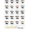 Kép 2/2 - GAMP Sminktetováló szemöldök pigment ESPRESSO 5ml