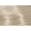 Kép 2/4 - Subrina Permanent Colour Tartós Krémhajfesték 10/1 100ml
