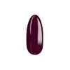 Kép 2/2 - Yoshi UV hibrid Late Violet - kései ibolya 6 ml – 315