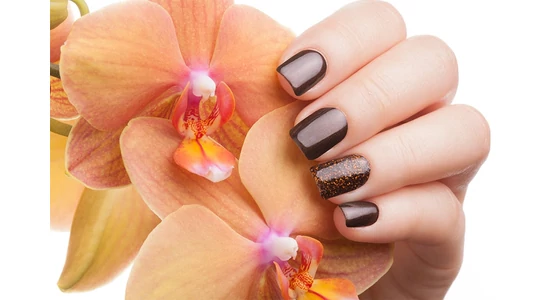 Újra itt az ősz, és ezzel együtt jöhetnek a földszínek is